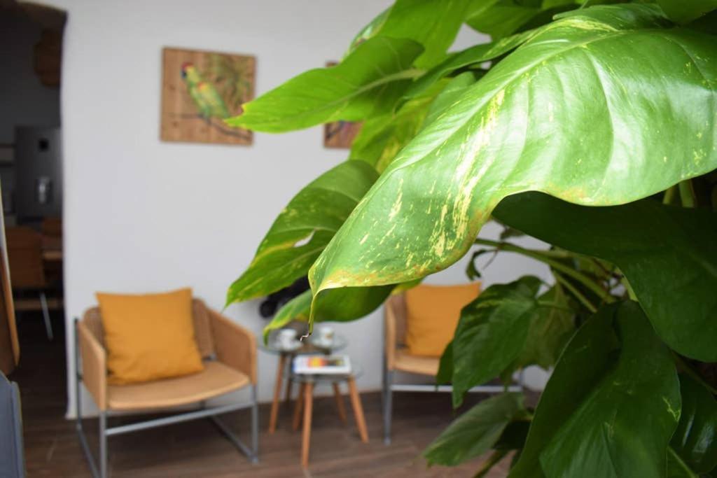 La Casa Vieja Villa Arafo Eksteriør bilde